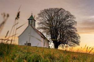 Lea más sobre el artículo Cómo orar por una iglesia dividida