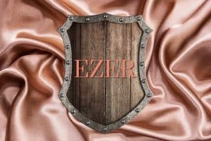 Read more about the article Ezer: Meaning and Biblical Usage